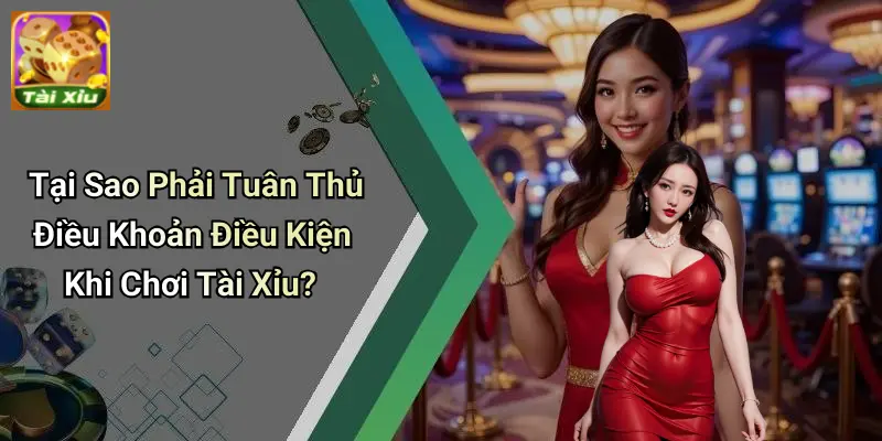 Điều khoản điều kiện 3 Điều khoản điều kiện