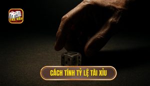 cách tính tỷ lệ tài xỉu