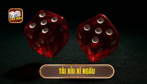 thumb - tài xỉu xí ngầu