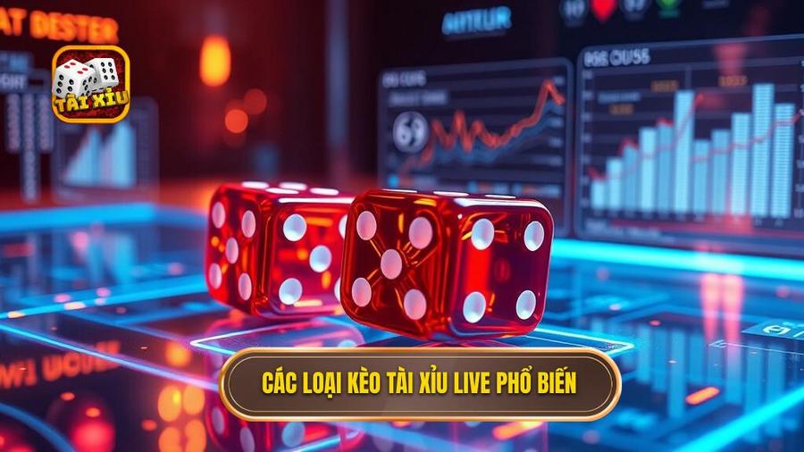 3. Các loại kèo Tài xỉu live phổ biến