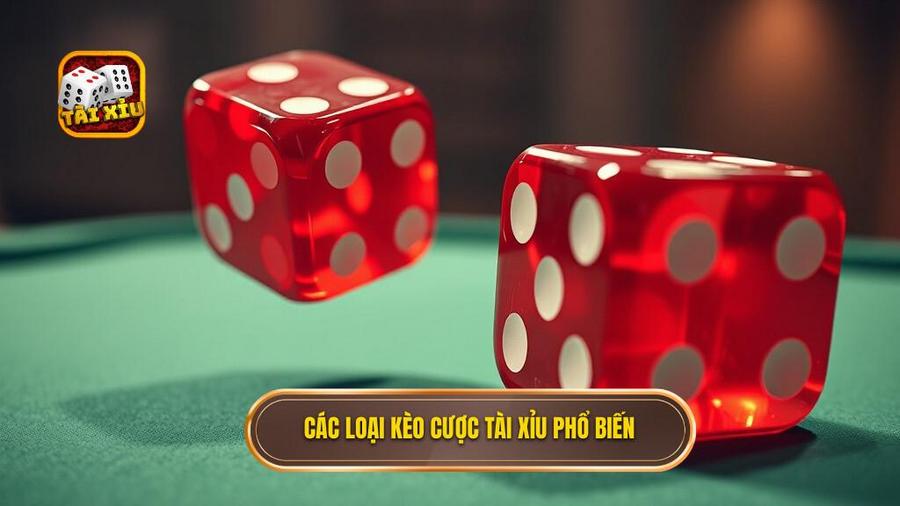 Hướng Dẫn Tài Xỉu: Các Loại Kèo Cược Phổ Biến