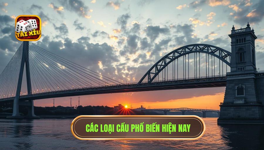 3. Các loại cầu phổ biến hiện nay