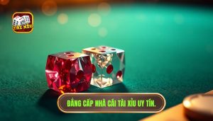 Có nên theo cầu tài xỉu hay không? Phân tích chuyên sâu từ chuyên gia TÀI XỈU