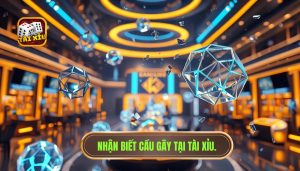 Cách nhận biết cầu sắp gãy: Tuyệt kỹ tối ưu lợi nhuận cho người chơi hệ chuyên nghiệp