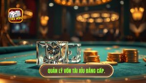 Cách quản lý vốn khi đánh tài xỉu: Chìa khóa vàng để chiến thắng bền vững